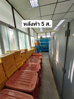 ไฟล์แนบ การประปาส่วนภูมิภาคสาขาปากพนัง  จัดกิจกรรม  (Big Cleaning Day) และกิจกรรม 5 ส.      