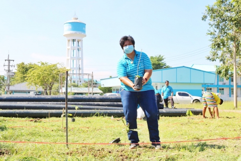 ไฟล์แนบ กปภ.สาขาปทุมธานี จัดกิจกรรม วันรักต้นไม้ประจำปีของชาติ พ.ศ. 2564
