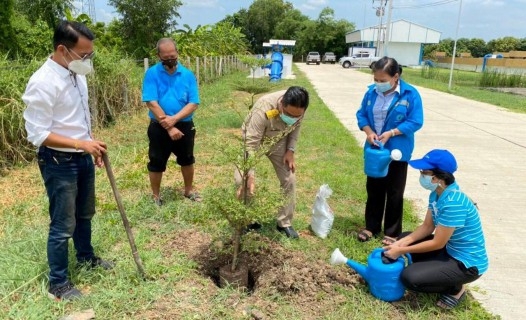 ไฟล์แนบ กปภ.สาขารังสิต(พ) จัดกิจกรรม วันรักต้นไม้ประจำปีของชาติ พ.ศ. 2564