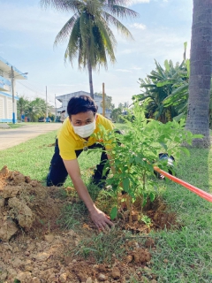ไฟล์แนบ กปภ.สาขาปราณบุรี จัดกิจกรรมบำเพ็ญสาธารณประโยชน์  เนื่องในวันคล้ายวันพระบรมราชสมภพพระบาทสมเด็จพระบรมชนกาธิเบศร มหาภูมิพลอดุลยเดชมหาราช บรมนาถบพิตร