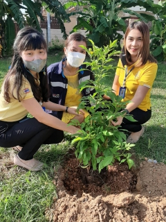 ไฟล์แนบ กปภ.สาขาปราณบุรี จัดกิจกรรมบำเพ็ญสาธารณประโยชน์  เนื่องในวันคล้ายวันพระบรมราชสมภพพระบาทสมเด็จพระบรมชนกาธิเบศร มหาภูมิพลอดุลยเดชมหาราช บรมนาถบพิตร