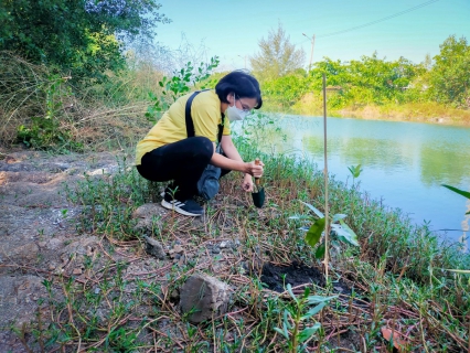 ไฟล์แนบ กปภ.สาขาตราด จัดโครงการปลูกต้นไม้เนื่องในวันพ่อแห่งชาติและวันดินโลก(World Soil Day) 