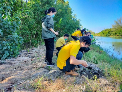 ไฟล์แนบ กปภ.สาขาตราด จัดโครงการปลูกต้นไม้เนื่องในวันพ่อแห่งชาติและวันดินโลก(World Soil Day) 