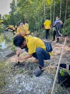 ไฟล์แนบ กปภ.สาขาตราด จัดโครงการปลูกต้นไม้เนื่องในวันพ่อแห่งชาติและวันดินโลก(World Soil Day) 