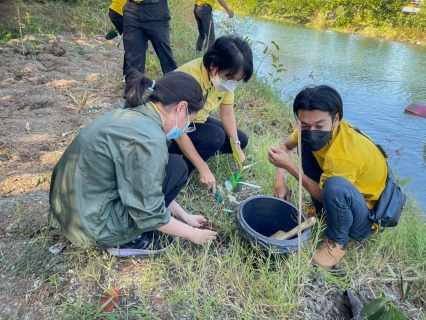 ไฟล์แนบ กปภ.สาขาตราด จัดโครงการปลูกต้นไม้เนื่องในวันพ่อแห่งชาติและวันดินโลก(World Soil Day) 