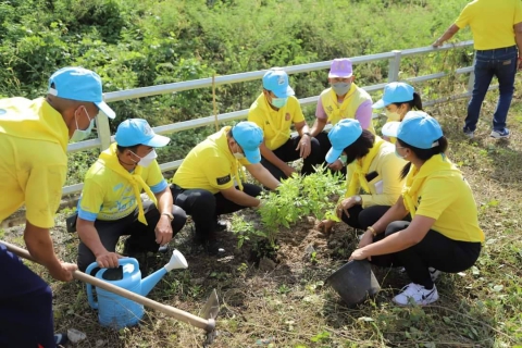 ไฟล์แนบ การประปาส่วนภูมิภาคสาขาทุ่งสง เข้าร่วมกิจกรรมจิตอาสาปลูกต้นไม้ เนื่องในวันคล้ายวันพระบรมราชสมภพพระบาทสมเด็จพระบรมชนกาธิเบศรมหาภูมิพลอดุลยเดชมหาราช บรมนาถบพิตร
