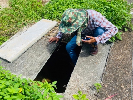 ไฟล์แนบ การประปาส่วนภูมิภาคสาขากระบี่ ดำเนินงานตามแผนบริหารจัดการน้ำสูญเสียเชิงรุก เดินหน้าลงพื้นที่ ถนนวัชระ ตำบลกระบี่ใหญ่ อำเภอเมืองกระบี่ จังหวัดกระบี่ เดินเท้าหาท่อแตกรั่ว พร้อมซ่อมปิดจุด เพื่อลดการเกิดน้ำสูญเสีย 