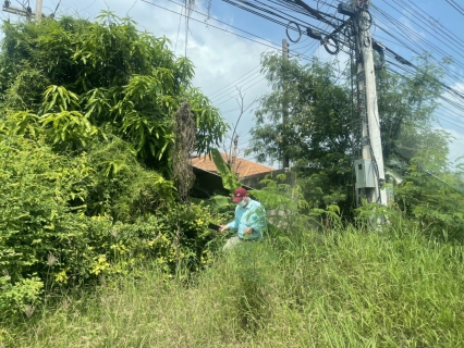 ไฟล์แนบ กปภ.สาขาสมุทรสงคราม ลงพื้นที่สุ่มการอ่านมาตรวัดน้ำตรวจสอบความถูกต้องและความเที่ยงตรงในการอ่านมาตรวัดน้ำ