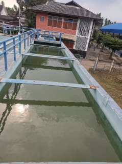 ไฟล์แนบ กปภ.สาขาสมุทรสงคราม ล้างถังตกตะกอนตามแผนโครงการจัดการน้ำสะอาด (WSP) ณ สถานีผลิตน้ำวัดเกตการาม