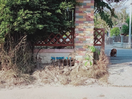 ไฟล์แนบ กปภ.สาขาเกาะพะงัน ซ่อมแซมเส้นท่อเพื่อแก้ปัญหาน้ำไหลอ่อน