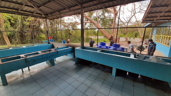ไฟล์แนบ กปภ.สาขาปราณบุรี ลงพื้นที่สานต่อ โครงการ บริหารจัดการทรัพยากรน้ำอย่างรู้คุณค่า DSM (Demand Side Management)  ณ โรงเรียนเพชรบุรีปัญญานุกุล อำเภอชะอำ จังหวัดเพชรบุรี 