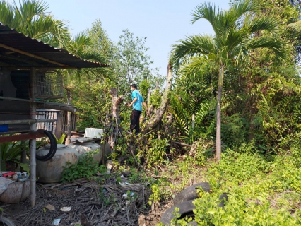 ไฟล์แนบ กปภ.สาขาสมุทรสงคราม เร่งหาท่อแตกรั่วและแก้ไขปัญหาข้อร้องเรียนน้ำไม่ไหล สร้างความพึงพอใจให้ลูกค้า