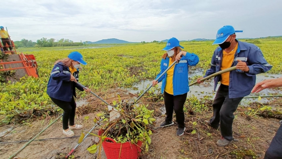 ไฟล์แนบ การประปาส่วนถูมิภาคสาขาปากน้ำประแสร์ ร่วมกิจกรรมจิตอาสาพัฒนา ปรับภูมิทัศน์ ณ บริเวณบึงจำรุง