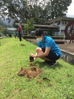 ไฟล์แนบ กปภ.สาขาพังงา จัดกิจกรรมโครงการ กปภ.ปลูกป่าเพื่อแผ่นดิน เทิดพระเกียรติพระบาทสมเด็จพระบรมชนกาธิเบศร มหาภูมิพลอดุลยเดชมหาราช บรมนาถบพิตร 