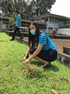 ไฟล์แนบ กปภ.สาขาพังงา จัดกิจกรรมโครงการ กปภ.ปลูกป่าเพื่อแผ่นดิน เทิดพระเกียรติพระบาทสมเด็จพระบรมชนกาธิเบศร มหาภูมิพลอดุลยเดชมหาราช บรมนาถบพิตร 