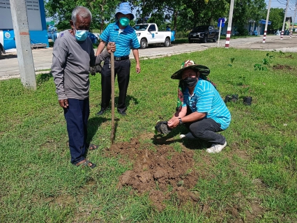 ไฟล์แนบ การประปาส่วนภูมิภาคสาขาสุพรรณบุรี จัดกิจกรรมปลูกป่าเพื่อแผ่นดิน เทิดพระเกียรติพระบาทสมเด็จพระบรมชนกาธิเบศร มหาภูมิพลอดุลยเดชมหาราช บรมนาถบพิตร 