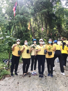 ไฟล์แนบ กปภ.สาขาภูเก็ต เข้าร่วมกิจกรรมโครงการปลูกป่าเพิ่มพื้นที่สีเขียวจังหวัดภูเก็ต เนื่องในวันต้นไม้ประจำปีของชาติ พ.ศ.2565 