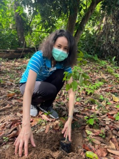 ไฟล์แนบ # PWA ปลูกป่าเพื่อแผ่นดิน # กปภ.ปลูกป่าเพื่อแผ่นดิน