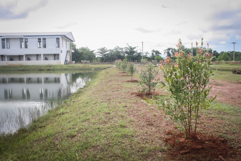 ไฟล์แนบ กปภ.สาขาตราดจัดกิจกรรมปลูกต้นไม้เนื่องในวันต้นไม้ประจำปีของชาติ ประจำปี 2565ณ สถานีผลิตน้ำโรงกรองน้ำปลายคลอง 2 