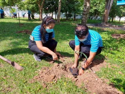 ไฟล์แนบ กปภ.สาขาศรีสะเกษจัดกิจกรรมปลูกต้นไม้ เนื่องในวันต้นไม้ประจำปีของชาติ พ.ศ. 2565