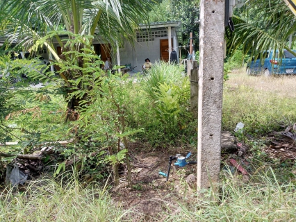 ไฟล์แนบ การประปาส่วนภูมิภาคสาขากาญจนดิษฐ์ ตรวจวัดแรงดันน้ำที่เหมาะสมตามมาตรฐานการให้บริการของ กปภ. ในเขตพื้นที่บริการของกปภ.สาขากาญจนดิษฐ์
