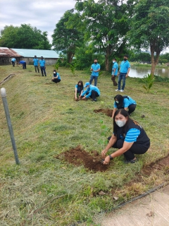 ไฟล์แนบ กปภ.สาขากาญจนบุรี จัดกิจกรรมโครงการ กปภ.ปลูกป่าเพื่อแผ่นดิน เทิดพระเกียรติพระบาทสมเด็จพระบรมชนกาธิเบศร มหาภูมิพลอดุลยเดชมหาราช บรมนาถบพิตร (Father s Land)