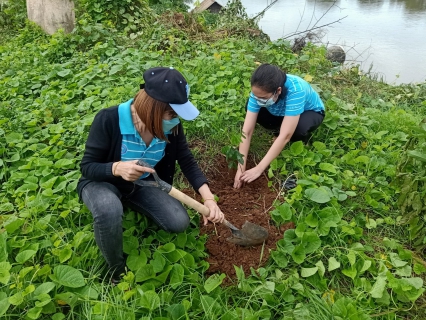 ไฟล์แนบ กปภ.สาขากาญจนบุรี จัดกิจกรรมโครงการ กปภ.ปลูกป่าเพื่อแผ่นดิน เทิดพระเกียรติพระบาทสมเด็จพระบรมชนกาธิเบศร มหาภูมิพลอดุลยเดชมหาราช บรมนาถบพิตร (Father s Land)