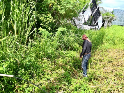ไฟล์แนบ การประปาส่วนภูมิภาคสาขากระบี่ ดำเนินงานตามแผนบริหารจัดการน้ำสูญเสีย ลงพื้นที่ ทำ Step Test ค้นหาท่อแตกรั่ว ลดการเกิดน้ำสูญเสีย 
