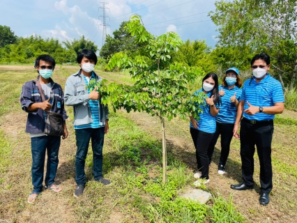 ไฟล์แนบ การประปาส่วนภูมิภาคสาขาปากน้ำประแสร์ จัดกิจกรรมโครงการ กปภ.ปลูกป่าเพื่อแผ่นดิน