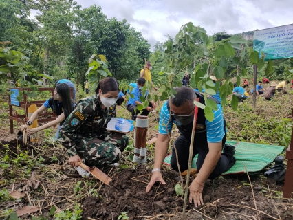 ไฟล์แนบ กปภ.สาขาสมุทรสาคร จัดกิจกรรม โครงการ กปภ. ปลูกป่าเพื่อแผ่นดิน เทิดพระเกียรติ พระบาทสมเด็จพระบรมชนกาธิเบศร มหาภูมิพลอดุลยเดชมหาราช บรมนาถบพิตร (Fathers Land)