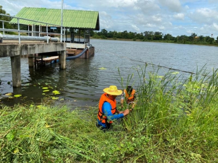 ไฟล์แนบ กปภ.สาขาศรีสะเกษ จัดโครงการรวมพลังจิตอาสา กปภ.เทิดไท้องค์ราชัน พระพันปีหลวง 2565