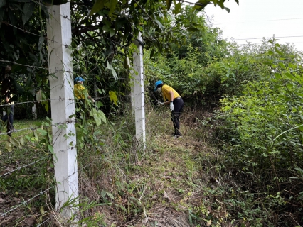 ไฟล์แนบ กปภ.สาขาเลิงนกทาจัดกิจกรรม โครงการรวมพลังจิตอาสาเทิดไท้องค์ราชัน พระพันปีหลวง