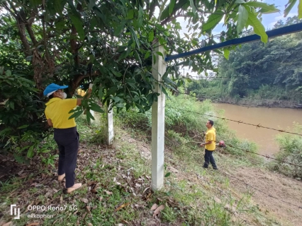 ไฟล์แนบ กปภ.สาขาเลิงนกทาจัดกิจกรรม โครงการรวมพลังจิตอาสาเทิดไท้องค์ราชัน พระพันปีหลวง