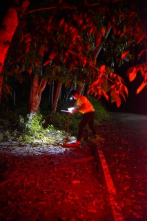 ไฟล์แนบ ทำ Step Test และหาท่อแตกรั่ว 