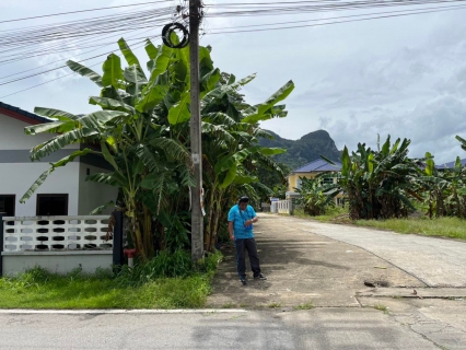ไฟล์แนบ การประปาส่วนภูมิภาคสาขาพังงา ดำเนินงานตามแผนบริหารจัดการน้ำสูญเสียเชิงรุก เร่งเดินหน้าลงพื้นที่ หมู่ที่ 3  ตำบลถ้ำน้ำผุด อำเภอเมือง จังหวัดพังงา เดินเท้าหาท่อแตกรั่ว ในช่วงเวลากลางวัน