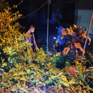 ไฟล์แนบ กปภ.สาขาปากพนัง ลงพื้นที่เดินสำรวจหาท่อแตก/ท่อรั่ว จากการทำ step test ตามแผนลดน้ำสูญเสีย บริเวณพื้นที่ MM-02 หน่วยบริการเชียรใหญ่ บริเวณในตลาดเทศบาลเชียรใหญ่  ต.เชียรใหญ่ อ.เชียรใหญ่ จ.นครศรีธรรมราช                       