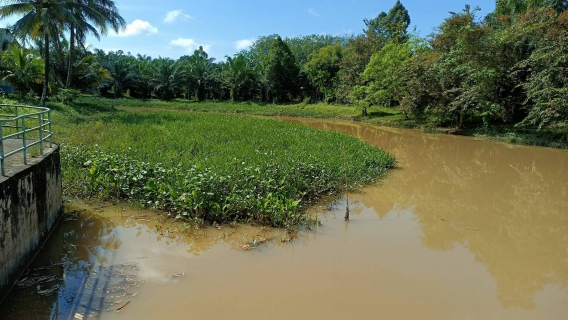 ไฟล์แนบ การประปาส่วนภูมิภาคสาขาคลองท่อม ลงพื้นที่​ติดตามสถานการณ์น้ำ บริเวณคลองสินปุน หน่วยบริการลำทับ 