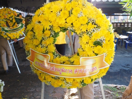 ไฟล์แนบ กปภ.สาขาอู่ทอง เข้าร่วมกิจกรรมน้อมรำลึกในพระมหากรุณาธิคุณ เนื่องในวันคล้ายวันสวรรคตพระบาทสมเด็จพระบรมชนกาธิเบศร มหาภูมิพลอดุลยเดชมหาราช บรมนาถบพิตร 13 ตุลาคม 2565