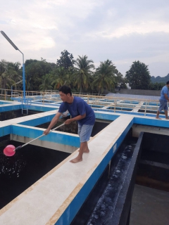 ไฟล์แนบ การประปาส่วนภูมิภาคสาขาประจวบคีรีขันธ์ ดำเนินการล้างถังตกตะกอนโรงกรองขนาด 400 ลบม./ชม. ฝั่งตะวันออก 
