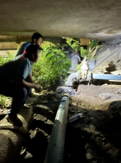 ไฟล์แนบ จัดทำ Steptest