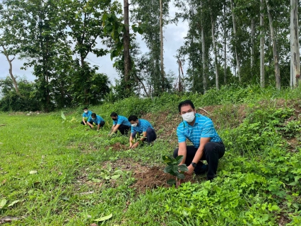 ไฟล์แนบ ฉ่ำปอด! กปภ.ปลูกป่าเพิ่มพื้นที่สีเขียวปี 65 กว่าหมื่นต้น เทิดพระเกียรติในหลวงรัชกาลที่ 9 