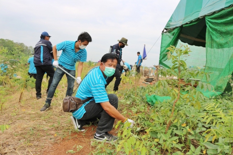 ไฟล์แนบ กปภ.สาขาปทุมธานี ร่วมกิจกรรม โครงการ โคก หนอง นา สัปปายะและรมณียสถาน สถานปฏิบัติธรรมสมเด็จพระสังฆราช (อมพรมหาเถร) ของสำนักงานทรัพยากรธรรมชาติและสิ่งแวดล้อมจังหวัดปทุมธานี