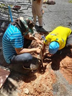 ไฟล์แนบ การประปาส่วนภูมิภาคสาขากาญจนดิษฐ์ เข้าร่วมกิจกรรมจิตอาสาพัฒนา ที่ว่าการอำเภอกาญจนดิษฐ์