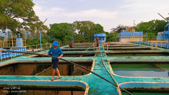 ไฟล์แนบ กปภ.สาขาภูเก็ต ดำเนินการล้างถังตกตะกอน ภายใต้โครงการ บริหารจัดการน้ำสะอาด Water Safety Plan ณ สถานีผลิตน้ำบางวาด
