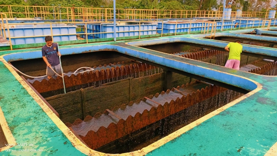 ไฟล์แนบ กปภ.สาขาภูเก็ต ดำเนินการล้างถังตกตะกอน ภายใต้โครงการ บริหารจัดการน้ำสะอาด Water Safety Plan ณ สถานีผลิตน้ำบางวาด