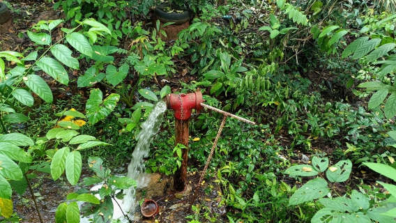 ไฟล์แนบ การประปาส่วนภูมิภาคสาขาคลองท่อมเปิดล้างตะกอนระบายในเส้นท่อจ่ายน้ำ (Blow off)