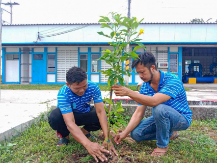ไฟล์แนบ สาขาบ้านฉาง จัดกิจกกรม กปภ.ปลูกป่าเพื่อแผ่นดิน เทิดพระเกียรติ ในหลวง ร.9 
