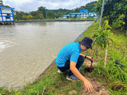 ไฟล์แนบ สาขาบ้านฉาง จัดกิจกกรม กปภ.ปลูกป่าเพื่อแผ่นดิน เทิดพระเกียรติ ในหลวง ร.9 