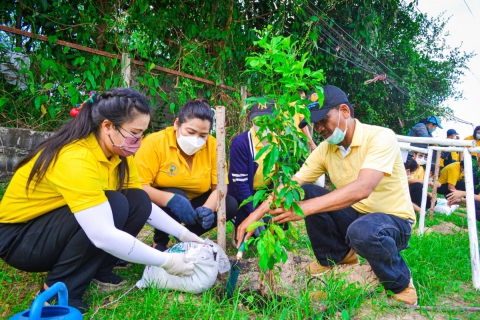 ไฟล์แนบ สาขาบ้านฉาง จัดกิจกกรม กปภ.ปลูกป่าเพื่อแผ่นดิน เทิดพระเกียรติ ในหลวง ร.9 