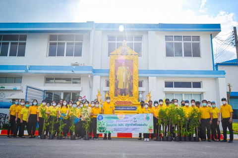 ไฟล์แนบ สาขาบ้านฉาง จัดกิจกกรม กปภ.ปลูกป่าเพื่อแผ่นดิน เทิดพระเกียรติ ในหลวง ร.9 